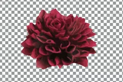Watercolor bridal flowers on summer berry colors clip art Product Image 13