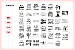 40 Funny Bathroom Sign Sayings SVG Bundle Product Image 3