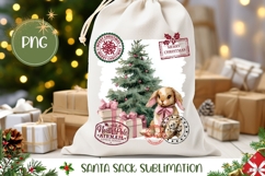 Winter Rabbit Santa Sack, Christmas Gift Bag Design Product Image 1