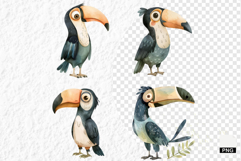 Nursery Summer Birds PNG Clipart Product Image 1