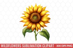 Wildflowers Sublimation Clipart Product Image 1