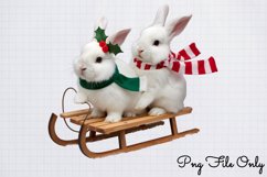 Woodland Christmas Watercolor Clipart PNG Product Image 1