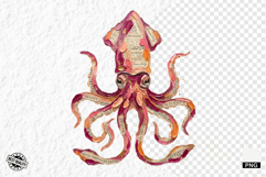 Books Pages Coastal Life Clipart Product Image 1