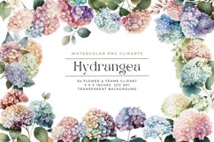 84 Hydrangea Flowers Watercolor Clipart Product Image 1