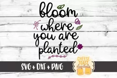 Bloom Where You Are Planted - Inspirational SVG PNG DXF Product Image 2