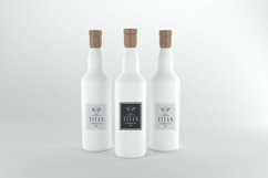 Titan Bottle Mockup Product Image 1