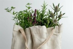 Freshly harvested herbs overflowing from a reusable canvas s Product Image 1