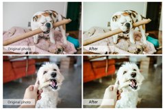 20 Lovely Pets Presets,Photoshop actions,LUTS,VSCO Product Image 4