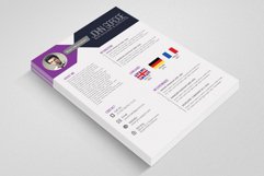 Resume CV Word Product Image 2