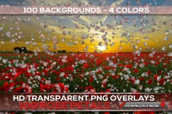100 ROSE PETALS TRANSPARENT PNG FILES, PHOTOSHOP OVERLAYS Product Image 4