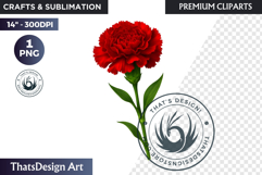 Flower Clipart PNG, Botanical Illustration Floral graphic Product Image 1