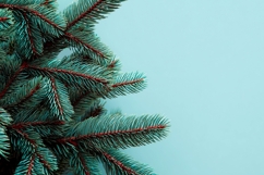 Pine Branches Background Design, Holiday Background Mockup Product Image 1