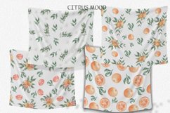 Citrus watercolor clipart, orange pattern Product Image 2