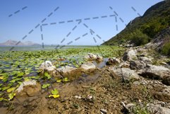the lake . summertime Product Image 1