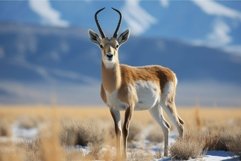 Majestic antelope in natural habitat Product Image 1