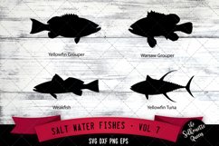 Salt Water Fishes Svg V7 - Yellowfin Grouper, Warsaw Grouper Product Image 1