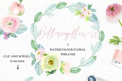 Buttercups. Ranunculus soft pink. Product Image 10