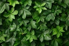 Dense green leaves create a vibrant natural pattern, perfect Product Image 1