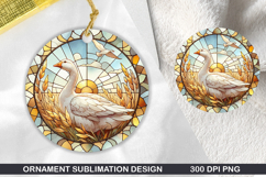 Cute Animals Round Stained Glass PNG Bundle, 30 Designs Product Image 3