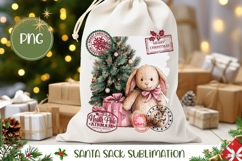 Winter Rabbit Santa Sack PNG, Christmas Gift Bag Design Product Image 1