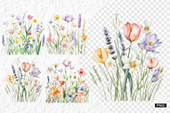 Summer Wildflowers PNG Product Image 1