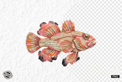 Books Pages Coastal Life Clipart Product Image 1
