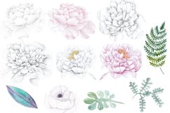 Watercolor white peony flowers clipart Product Image 2