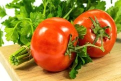 Freshly picked natural organic vegetables Product Image 1