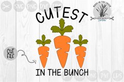 Cutest Carrot In The Bunch, Vegetables, Crunch, Cut File SVG Product Image 2