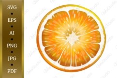 Orange slice. SVG. VECTOR. Product Image 1
