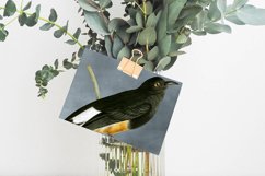 Bird Clipart Vintage Product Image 3