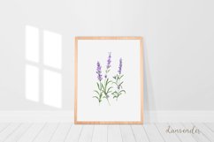 Watercolour wall art, Watercolour Herbs prints, Herbs poster Product Image 4