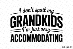 I Don&#039;t Spoil My Grandkids Svg | Quotes Svg | Svg Cut Files Product Image 1