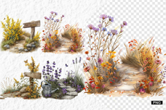 Summer Wildflowers PNG Product Image 1