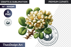 Medicinal Herbs clipart PNG, Apothecary Botanical Graphic Product Image 1