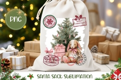 Winter Rabbit Santa Sack Design, Christmas Gift Bag PNG Product Image 1