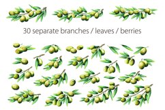 Watercolor olives and olive oil set Product Image 2