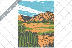 Chihuahuan Desert covering parts of Big Bend National Park Product Image 1