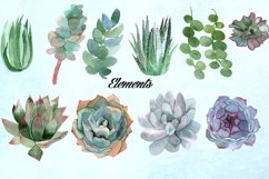 Watercolor Succulents Clip Art Product Image 3