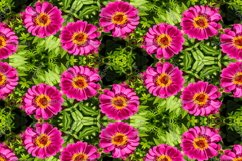 12 abstract Seamless colorful FLOWER patterns pack. Product Image 4