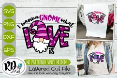 I Wanna Gnome What Love is - A Valentines Layered Cricut SVG Product Image 1