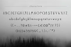 The Anomali - Free Font of The Week Product Image 3