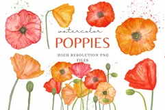Poppies Flowers Watercolor Clip Art Set Poppy Sublimation Product Image 1
