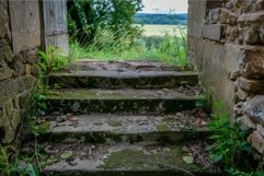 Overgrown stone steps leading out to a lush green landscape, Product Image 1