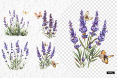 Summer Wildflowers PNG Product Image 1