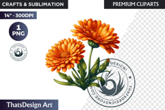 Medicinal Herbs clipart PNG, Apothecary Botanical Graphic Product Image 1