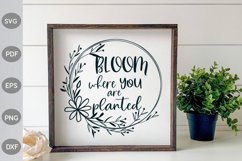 Bloom Where You Are Planted- Farmhouse SVG Template Design. Product Image 1