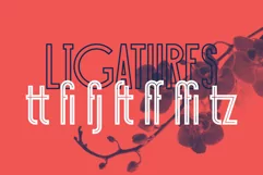 Sansterdam Inline & Outline - Free Font Of The Week Product Image 2