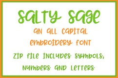 SALT SAGE EMBROIDERY FONT Product Image 1