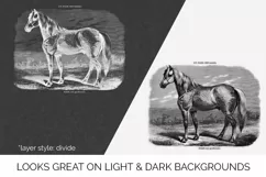 Horse Clipart Black and White Vintage Grand Race Percheronne Product Image 7